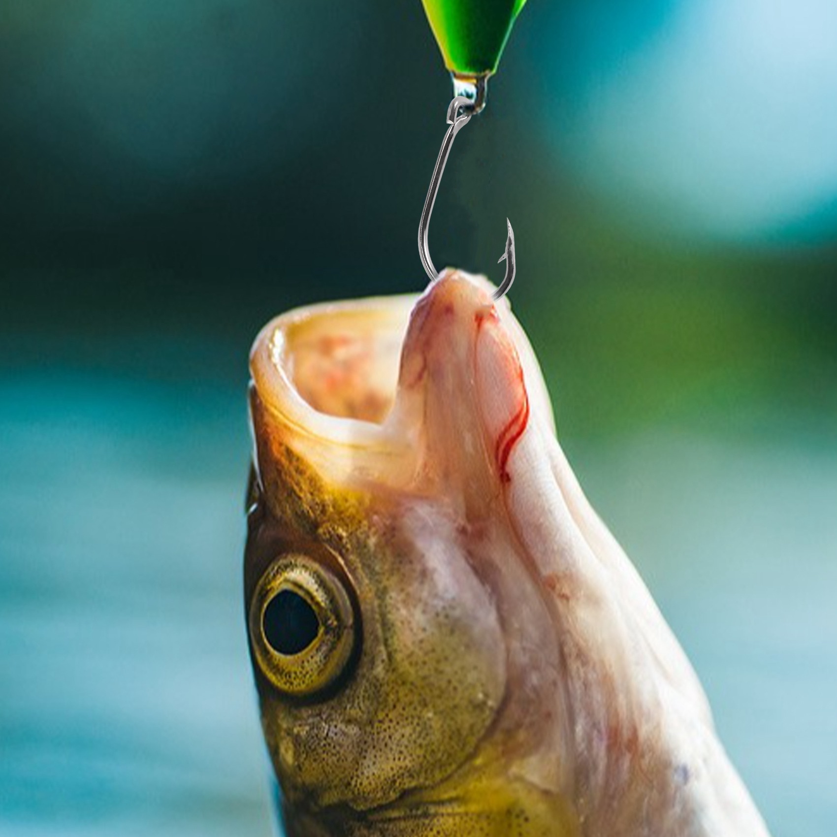 New arrival  500Pcs/Set Mixed  - Fishing Hook Box 评论和价格