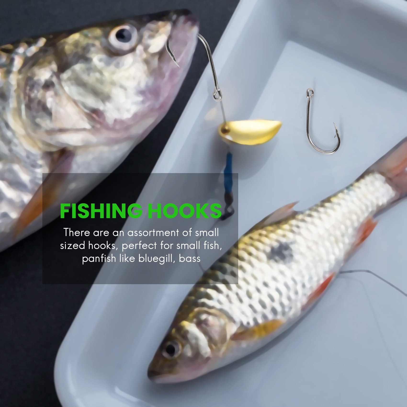 New arrival  500Pcs/Set Mixed  - Fishing Hook Box 评论和价格